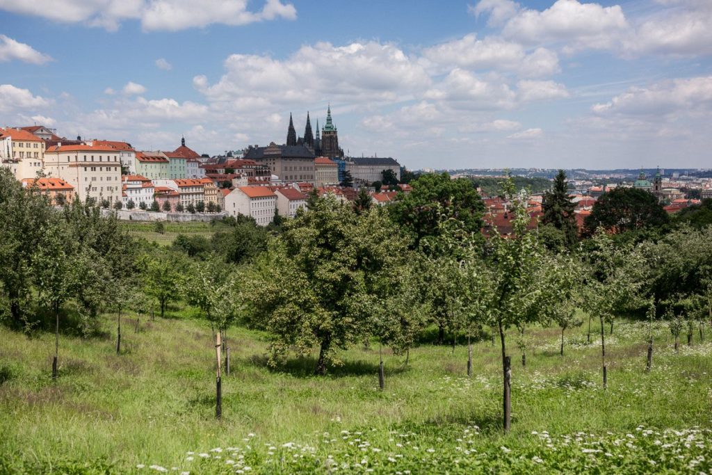 prague for solo traveler