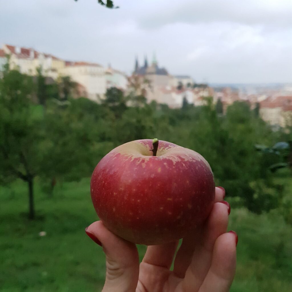  what you shouldn't miss in Prague 