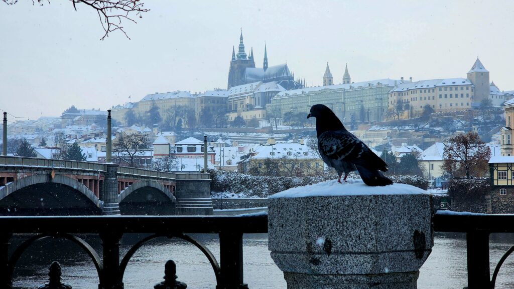How many days are enough for Prague