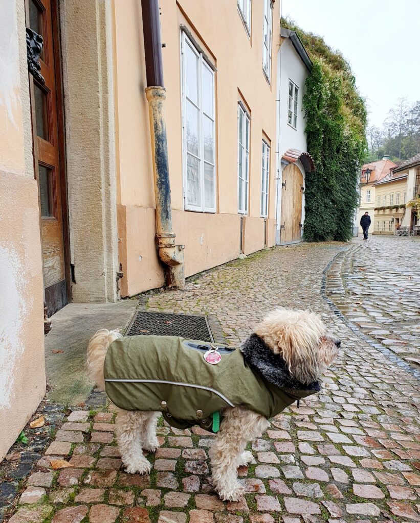 Prague behind the scenes tour